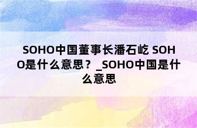 SOHO中国董事长潘石屹 SOHO是什么意思？_SOHO中国是什么意思